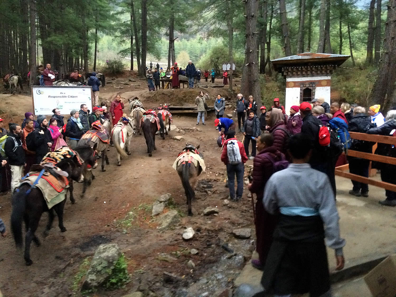 Jetsün Khandro Rinpoche with hikers and mules at the base of Taktsang.